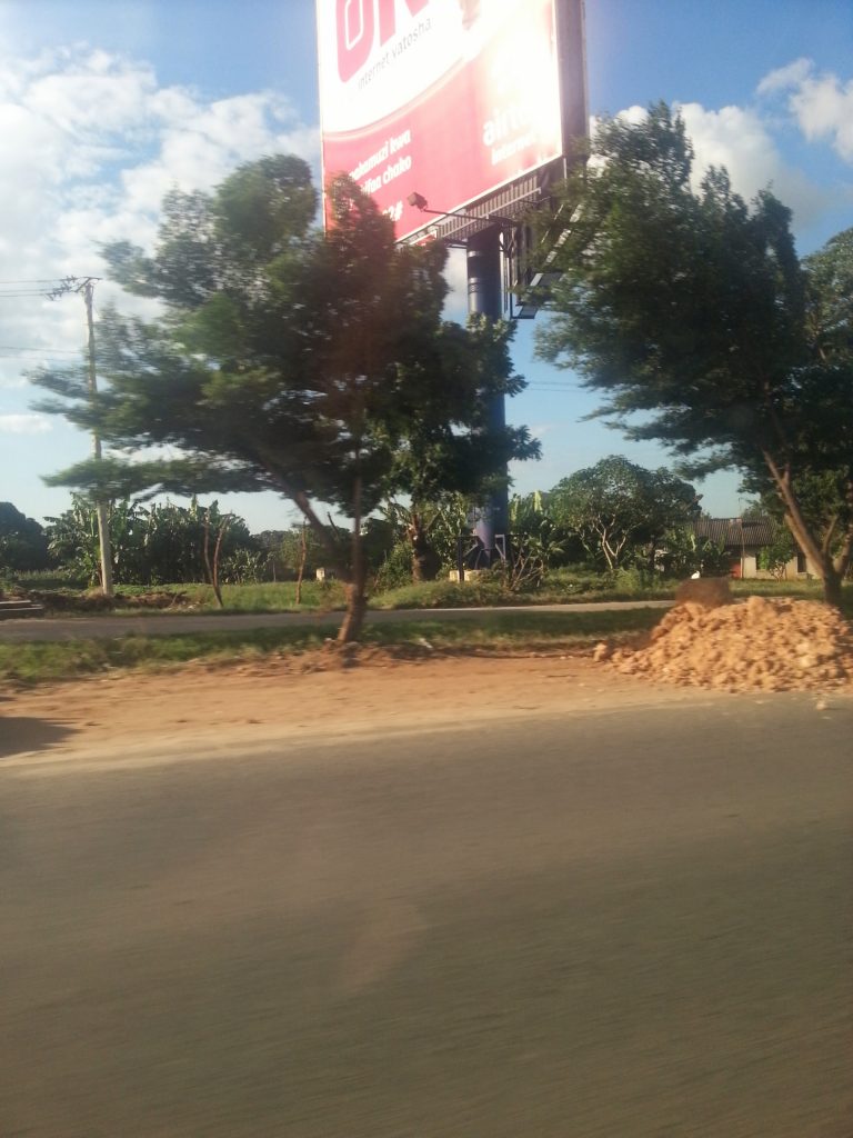 Zanzibar · Tanzania