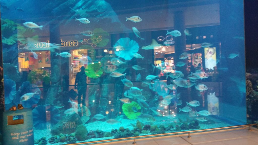 Dubai · United Arab Emirates