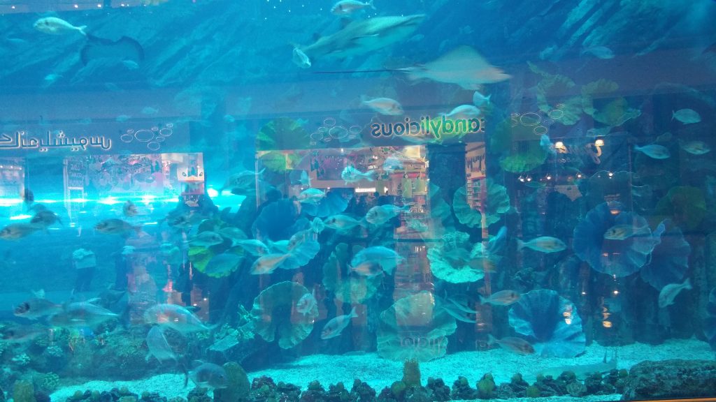 Dubai · United Arab Emirates