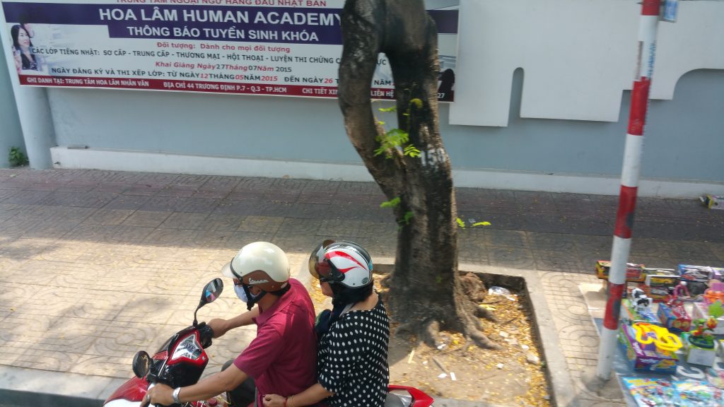 Vietnam · Vietnam