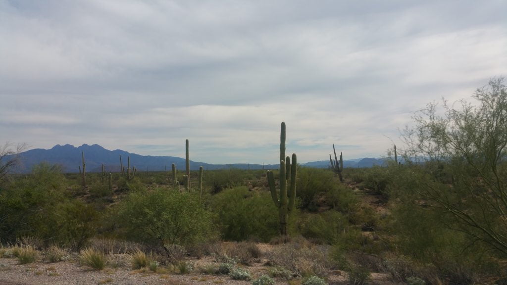 Arizona · United States of America