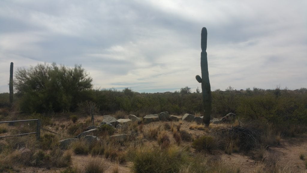 Arizona · United States of America