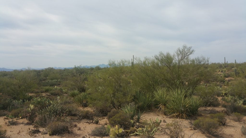 Arizona · United States of America