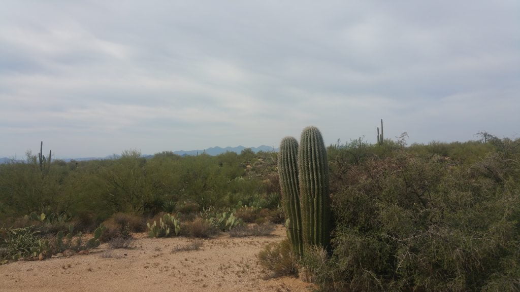 Arizona · United States of America