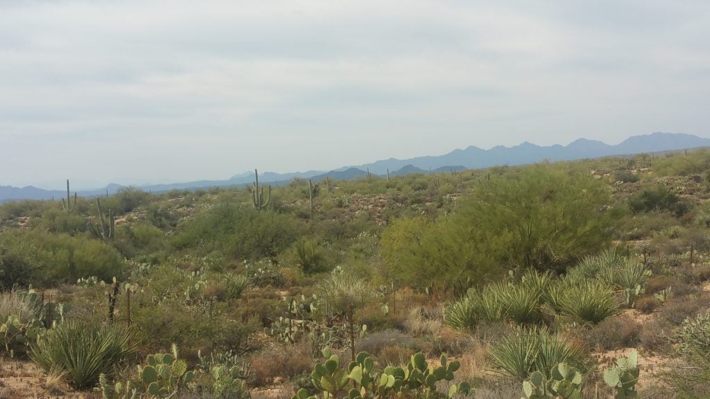 Arizona · United States of America