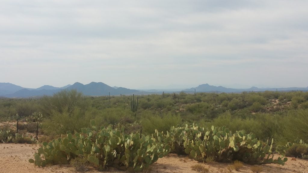 Arizona · United States of America