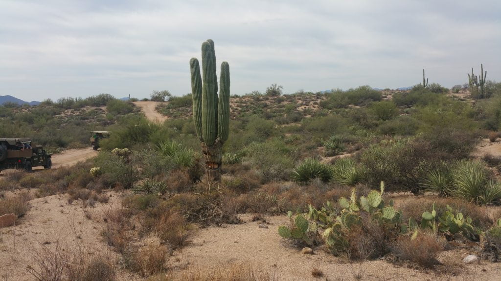 Arizona · United States of America