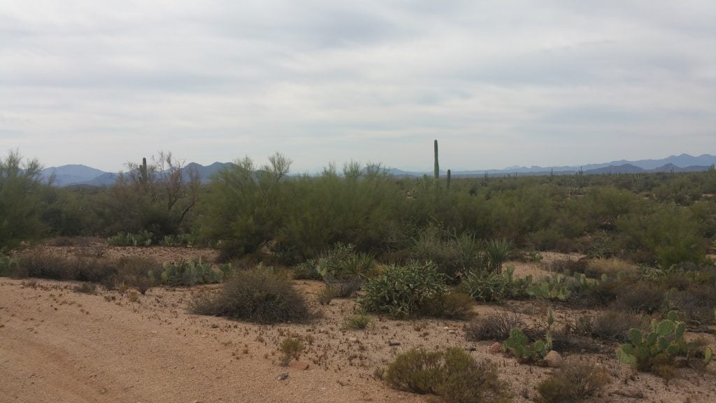 Arizona · United States of America