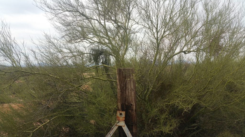 Arizona · United States of America