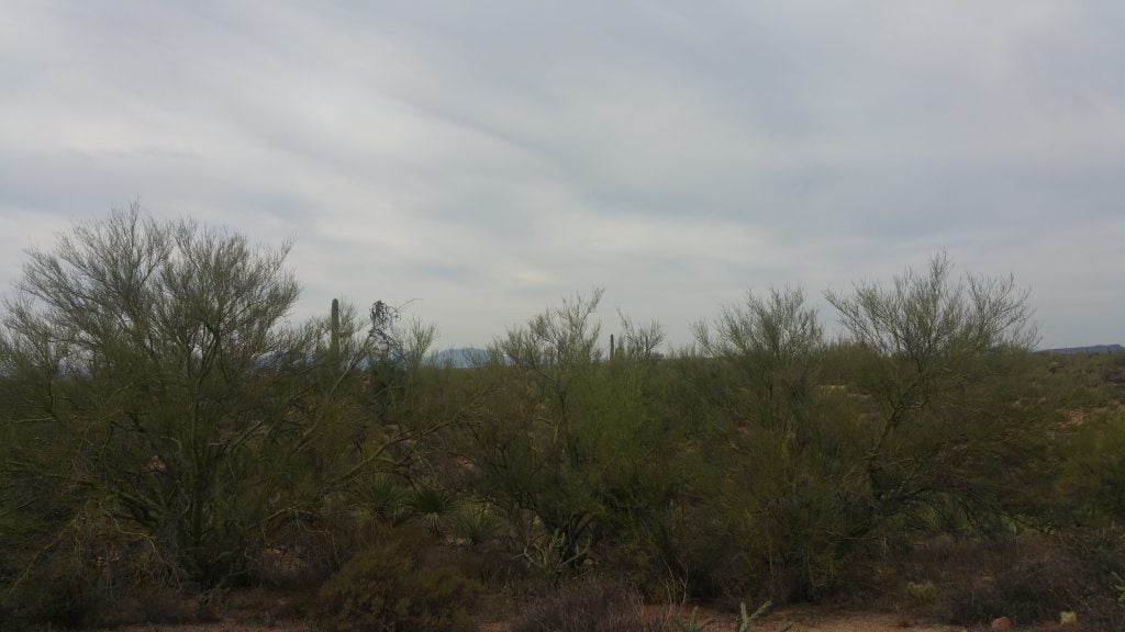 Arizona · United States of America