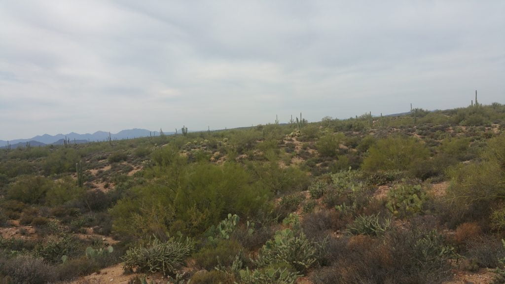 Arizona · United States of America