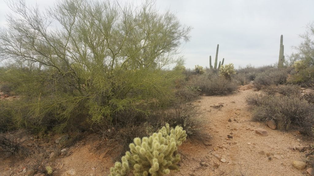 Arizona · United States of America