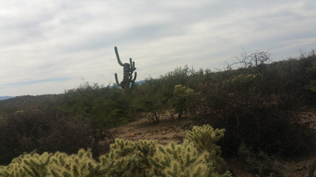 Arizona · United States of America