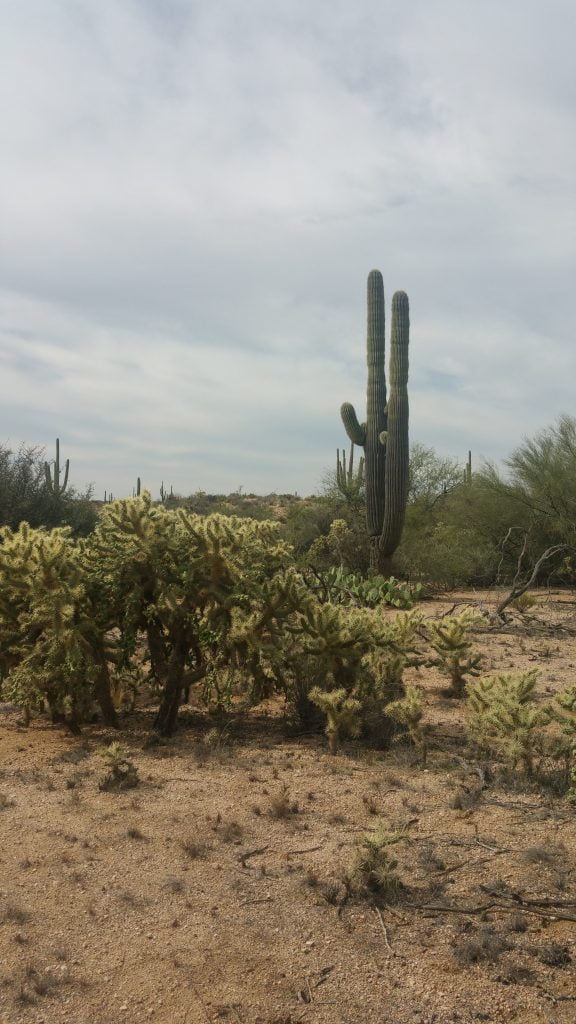 Arizona · United States of America