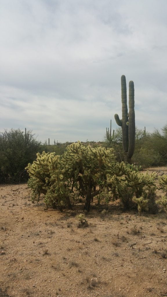 Arizona · United States of America