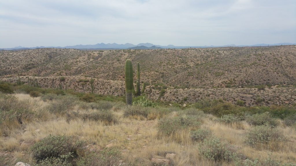 Arizona · United States of America