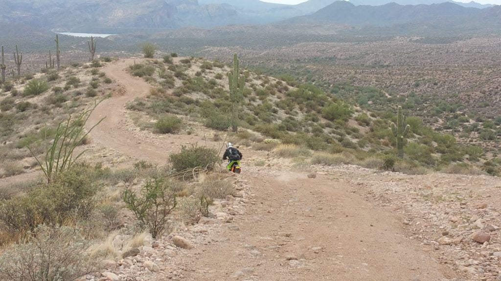 Arizona · United States of America