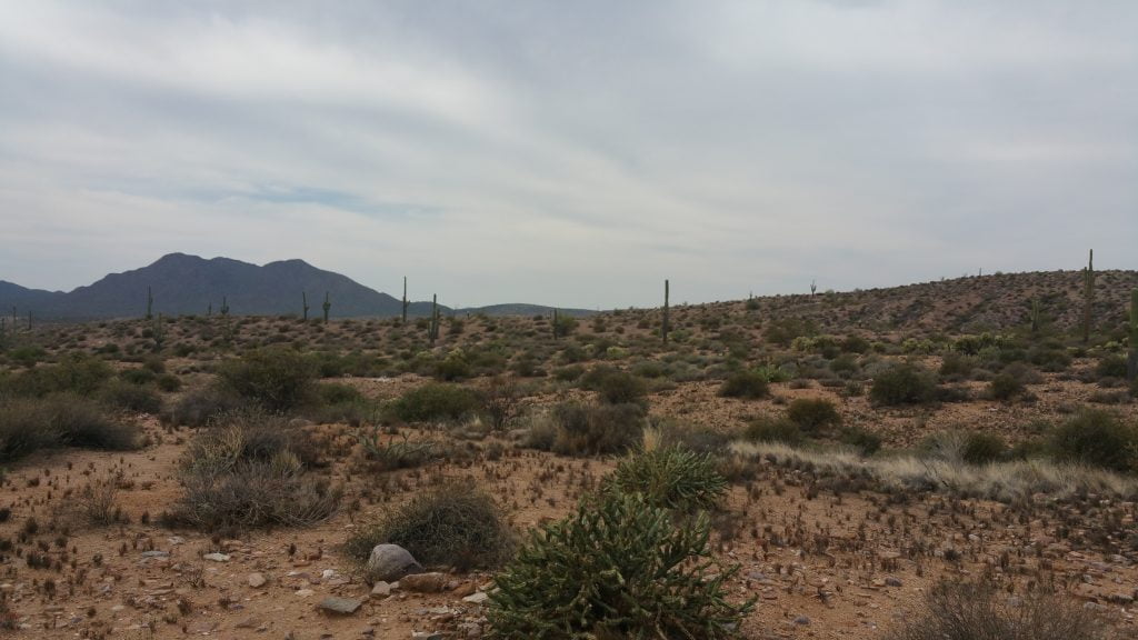 Arizona · United States of America