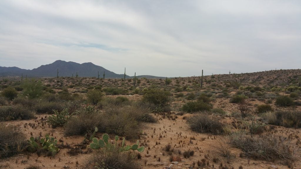Arizona · United States of America