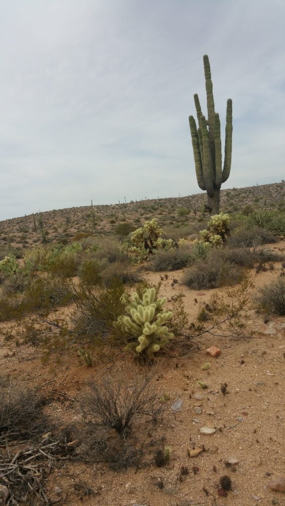 Arizona · United States of America