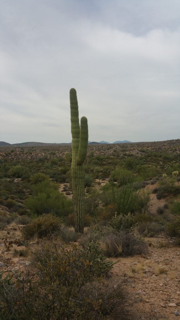 Arizona · United States of America