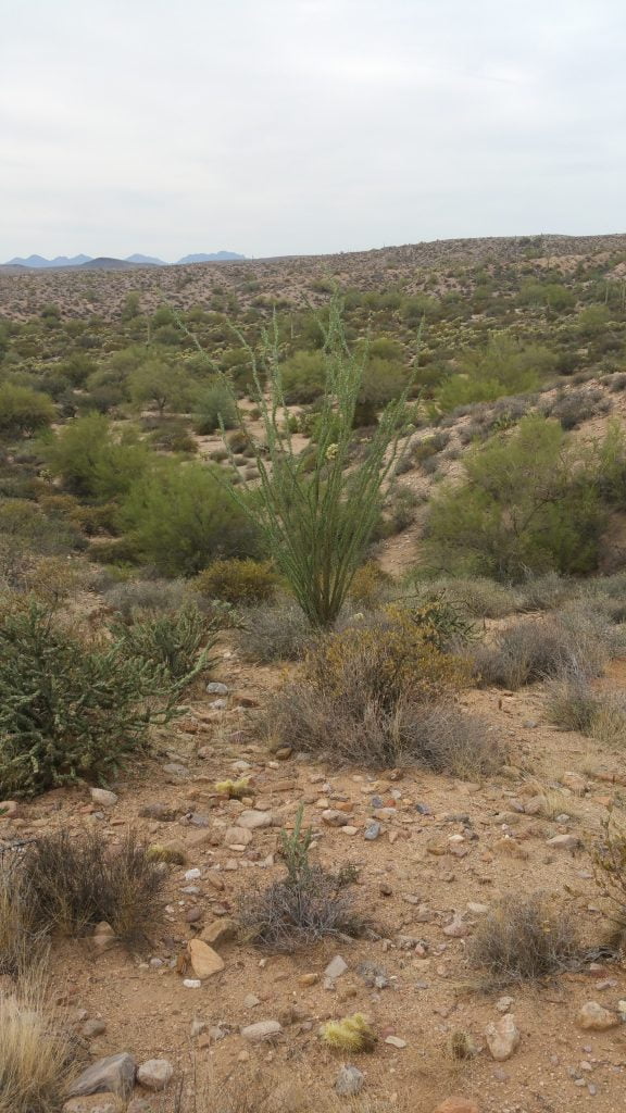 Arizona · United States of America