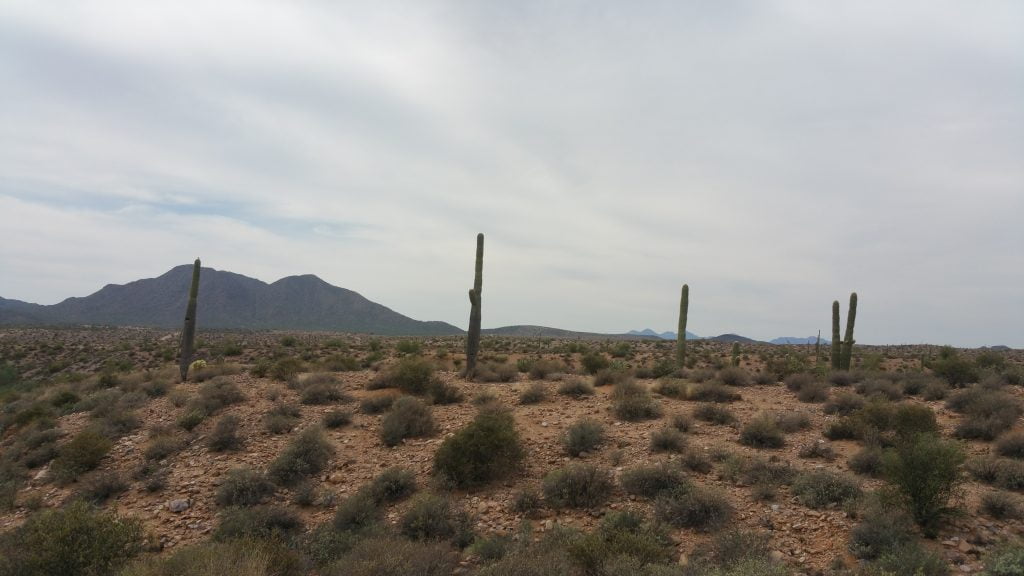 Arizona · United States of America