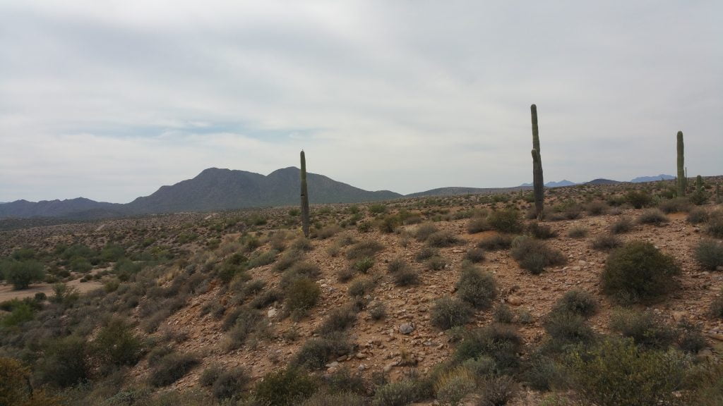 Arizona · United States of America