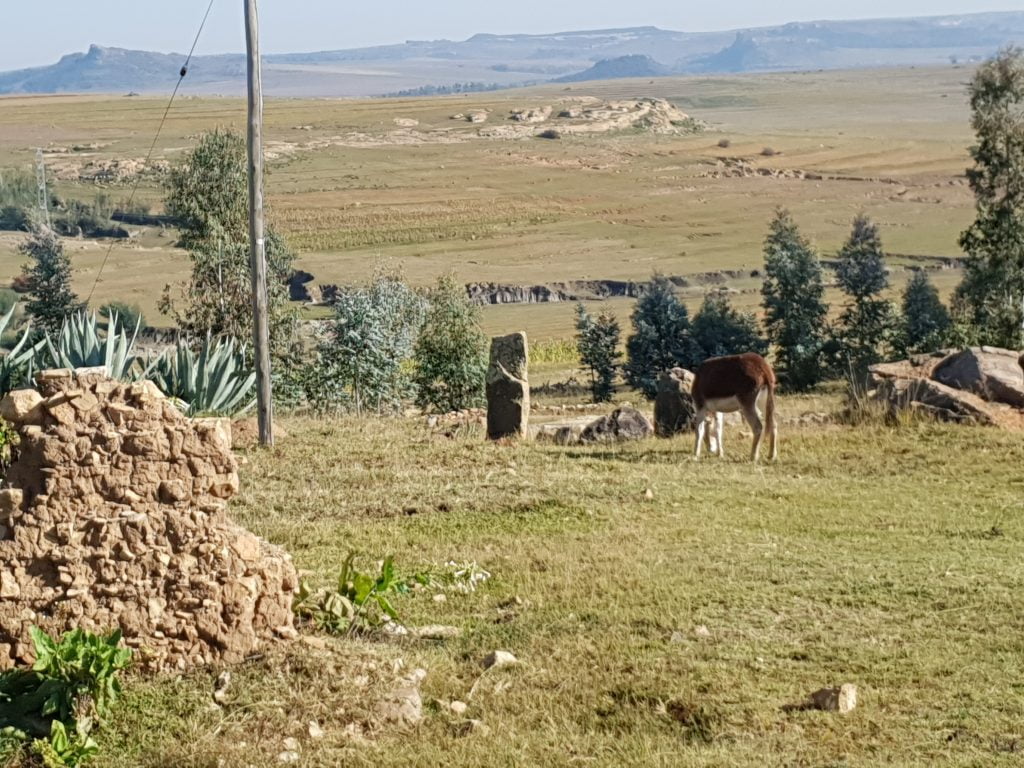 Lesotho · Lesotho