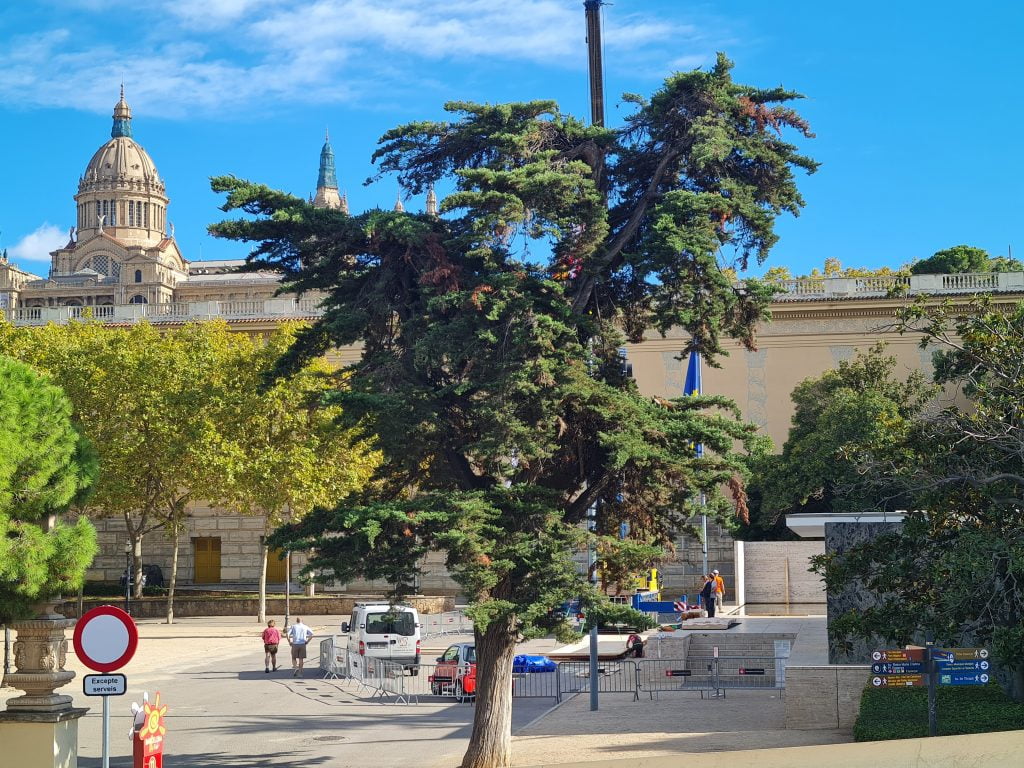 Barcelona · Spain