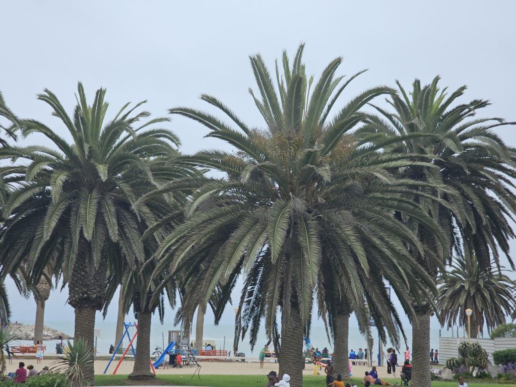 Windhoek · Namibia